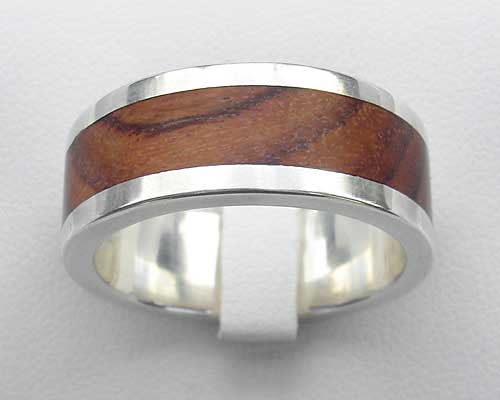 Picture of a Silver Ring