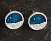 Exquisite night sky stud earrings