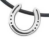 Lucky horseshoe necklace