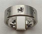 Sagittarius titanium ring