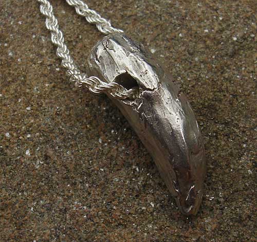 whale tooth surf necklace